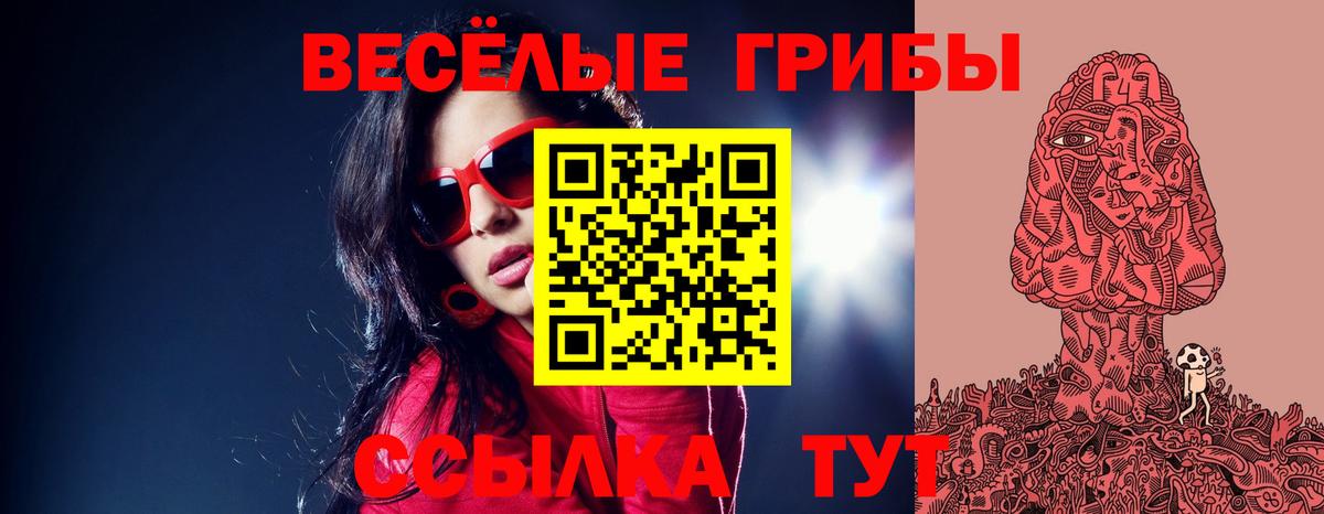 Галлюциногенные грибы Cubensis  как найти   Нарткала  Вход с VPN 